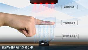 指静脉识别
